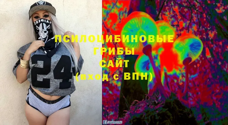 Псилоцибиновые грибы Magic Shrooms  Алдан 